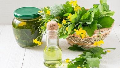 Celandine decoction for the treatment of nail fungus