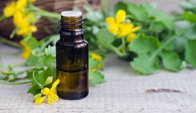 Celidas juice for the treatment of nail fungus